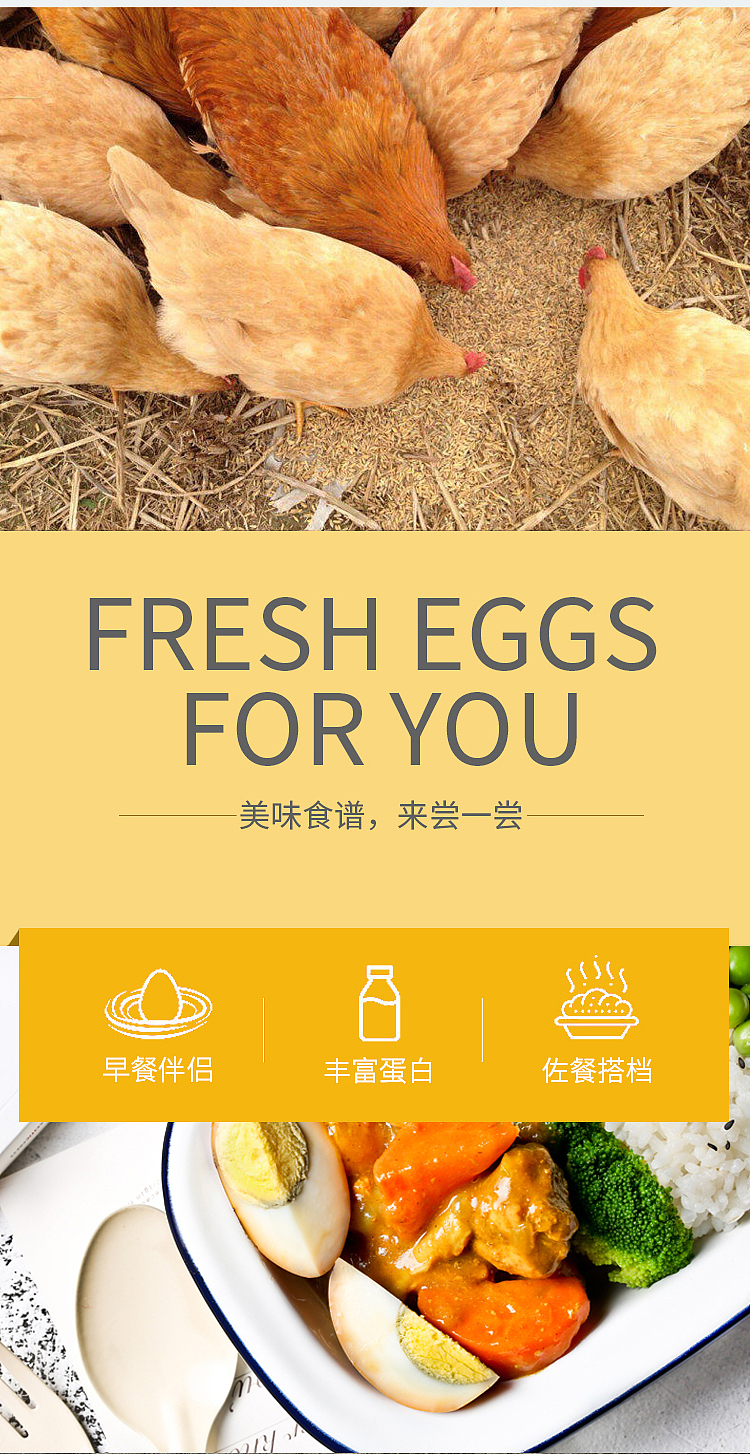 农产品 虫草鸡蛋 详情页（图ZMjMwOTEzODIw） - 电商 - 站酷设计师鱼乐可原创素材 - 站酷ZCOOL