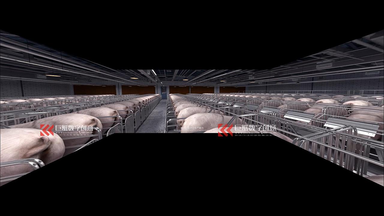 裸眼3D,cave沉浸式空间折幕片源,展厅折幕弧幕全息视频