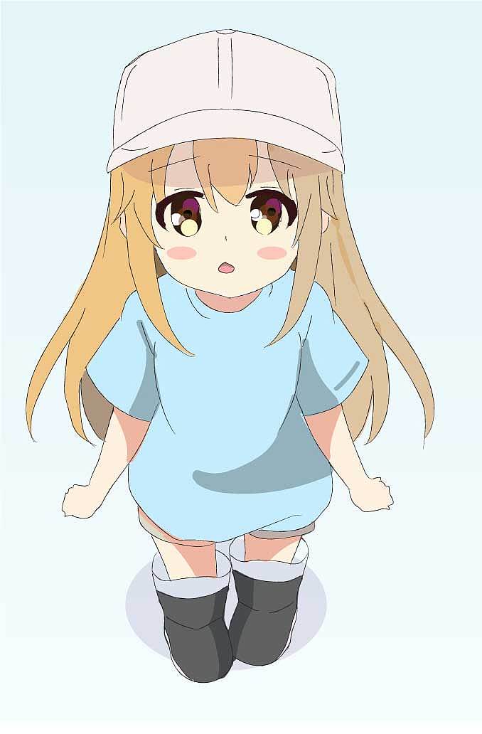 血小板 工作细胞