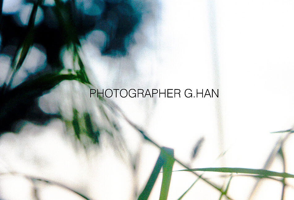 一个夏,一个秋。