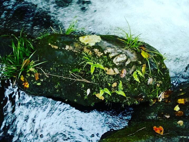 山有扶蘇不見隰華的個(gè)人主頁（背景預(yù)覽） - 主頁背景設(shè)置 - 站酷設(shè)計(jì)師山有扶蘇不見隰華原創(chuàng)素材 - 站酷ZCOOL