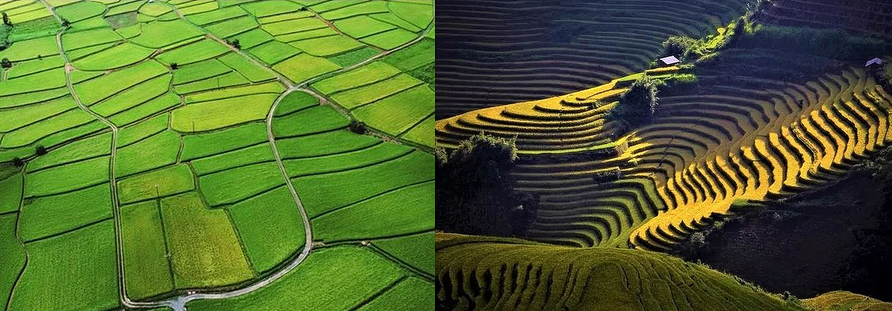 璞梵|一块地 喜礼白茶礼盒包装设计（图ZMTY4Njc3MDc2） - 包装 - 站酷设计师璞梵PUFINE原创素材 - 站酷ZCOOL