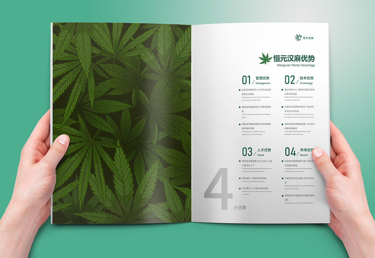 编排设计|汉麻馆画册