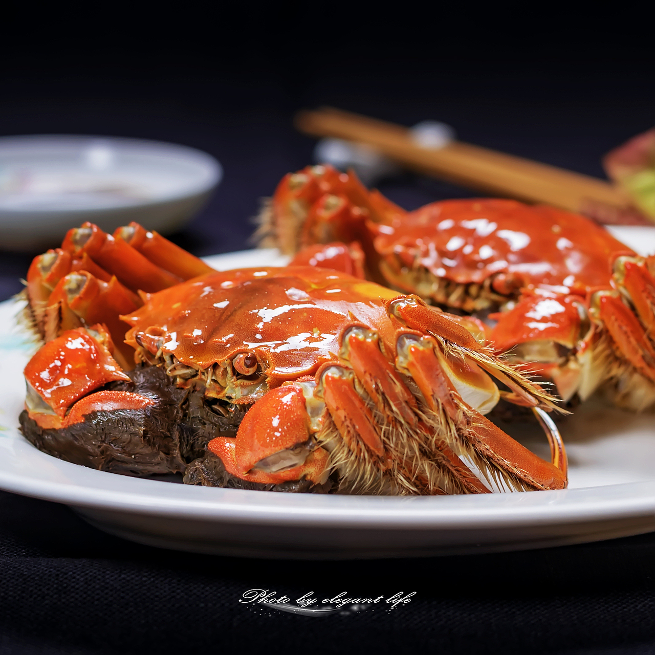 对面的蟹眼看过来！