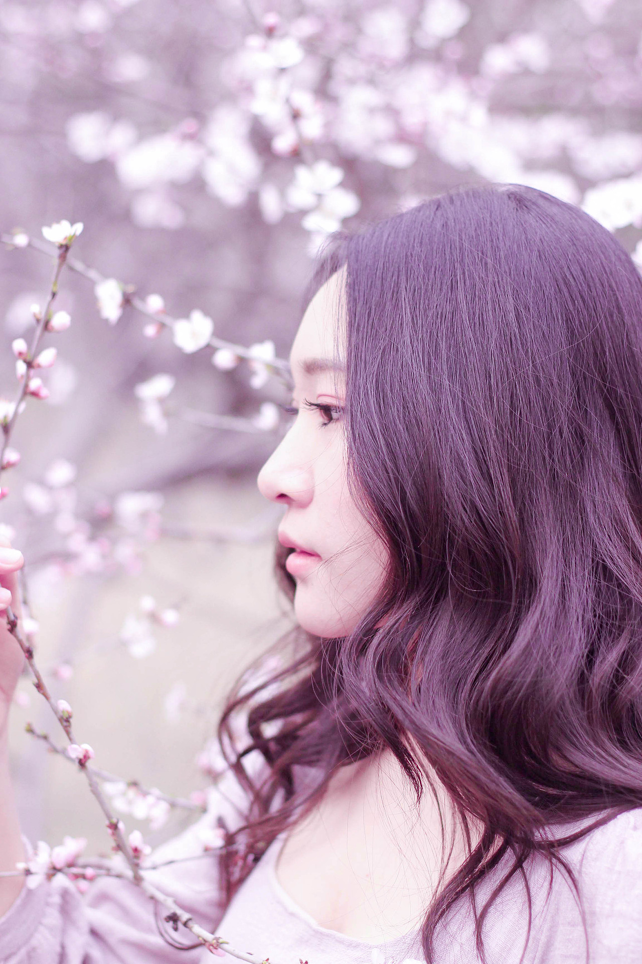 sakura 樱花（图ZNDUwMjg5MTY=） - 人像摄影 - 站酷设计师有一个落落原创素材 - 站酷ZCOOL