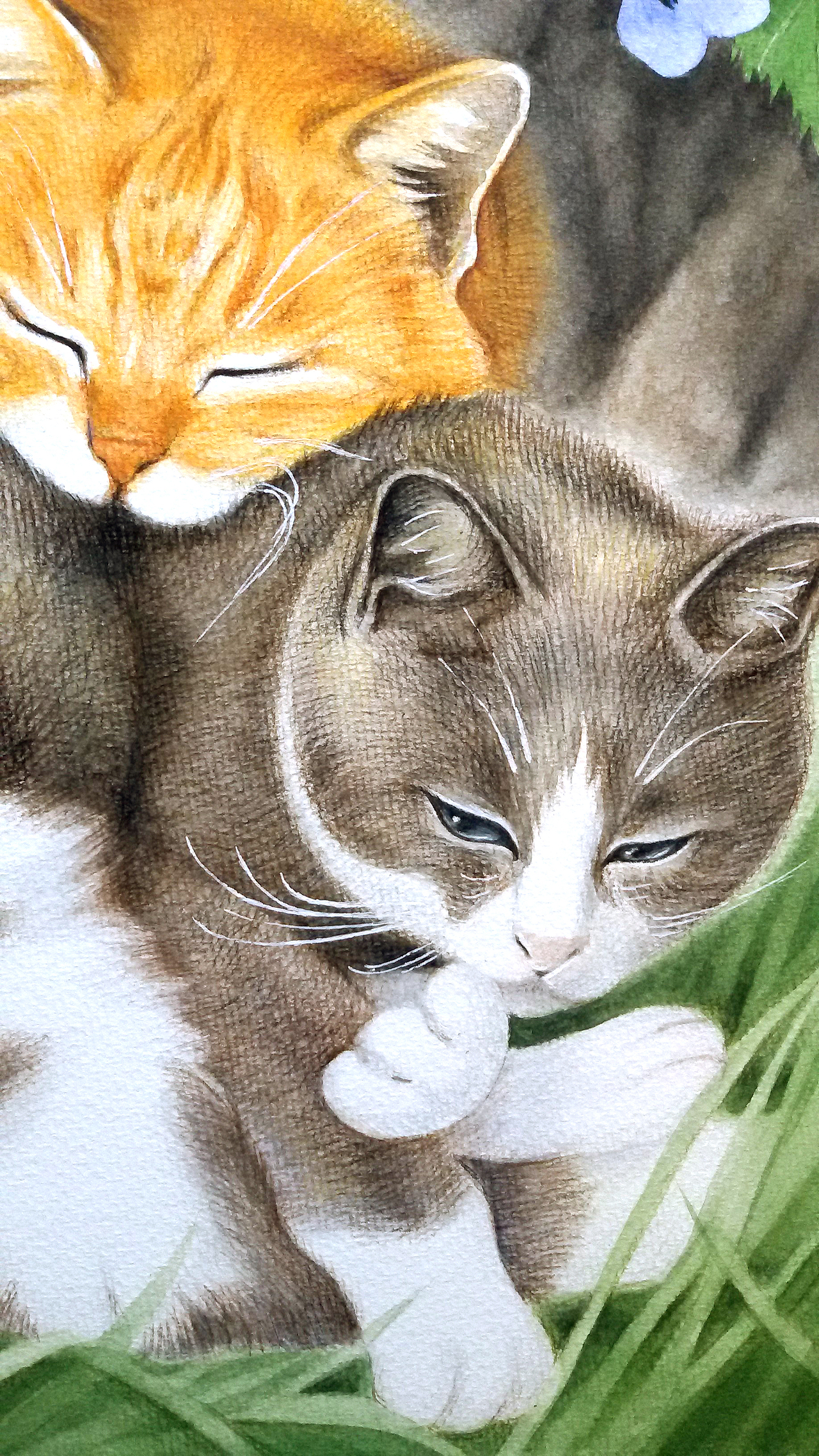 闭门画猫第一辑 "我想在墙上挂满喵星人"