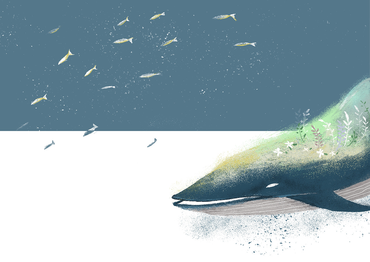 化身孤岛的鲸（图ZNjIxNzIyMzY=） - 艺术插画 - 站酷设计师山吹芥子原创素材 - 站酷ZCOOL