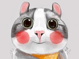 猫猫萌宠 插画手绘