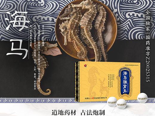 保健品 | 中成药 | 蒙药 | 海马强肾丸