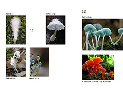 画册（图ZMjE4OTg3MDI0） - 书籍/画册 - 站酷设计师fo了蜜原创素材 - 站酷ZCOOL