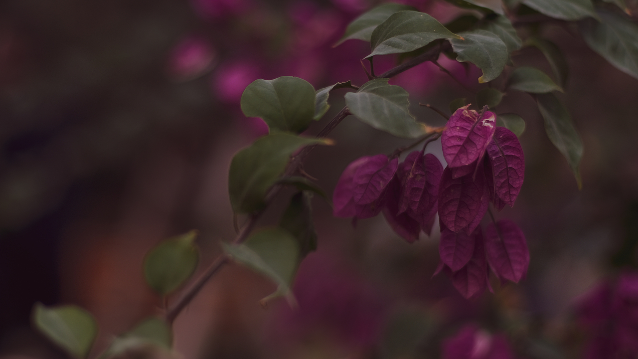 jn.（图ZMjQwNzY5MjQ0） - 人文/纪实摄影 - 站酷设计师恶趣未原创素材 - 站酷ZCOOL