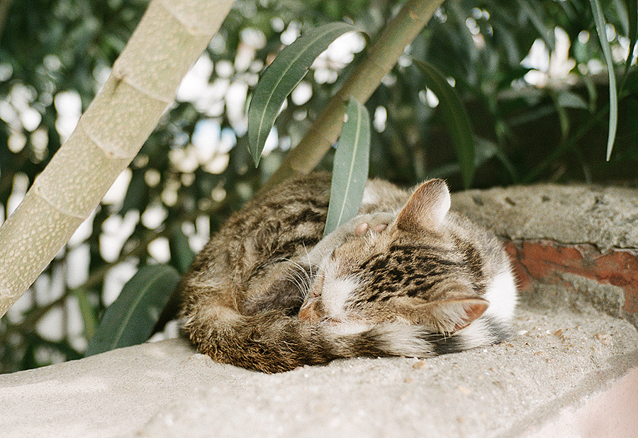 只为记录，不为胜利（图ZMjQ1NTE1MTI=） - 人文/纪实摄影 - 站酷设计师觉纪原创素材 - 站酷ZCOOL