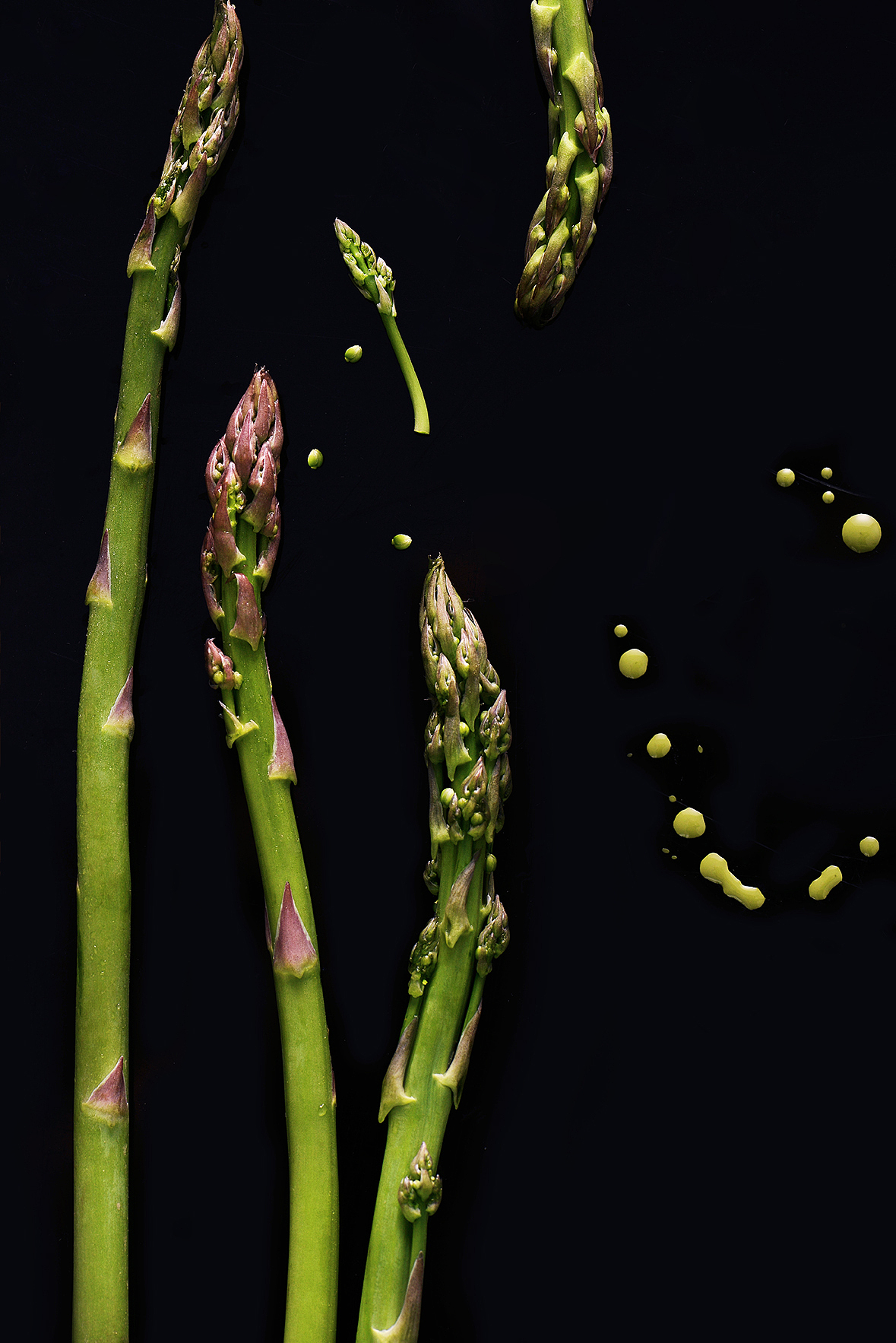 芦笋绘虾仁（图ZNzQwNzg4MDQ=） - 其他摄影 - 站酷设计师YUM汤汤原创素材 - 站酷ZCOOL