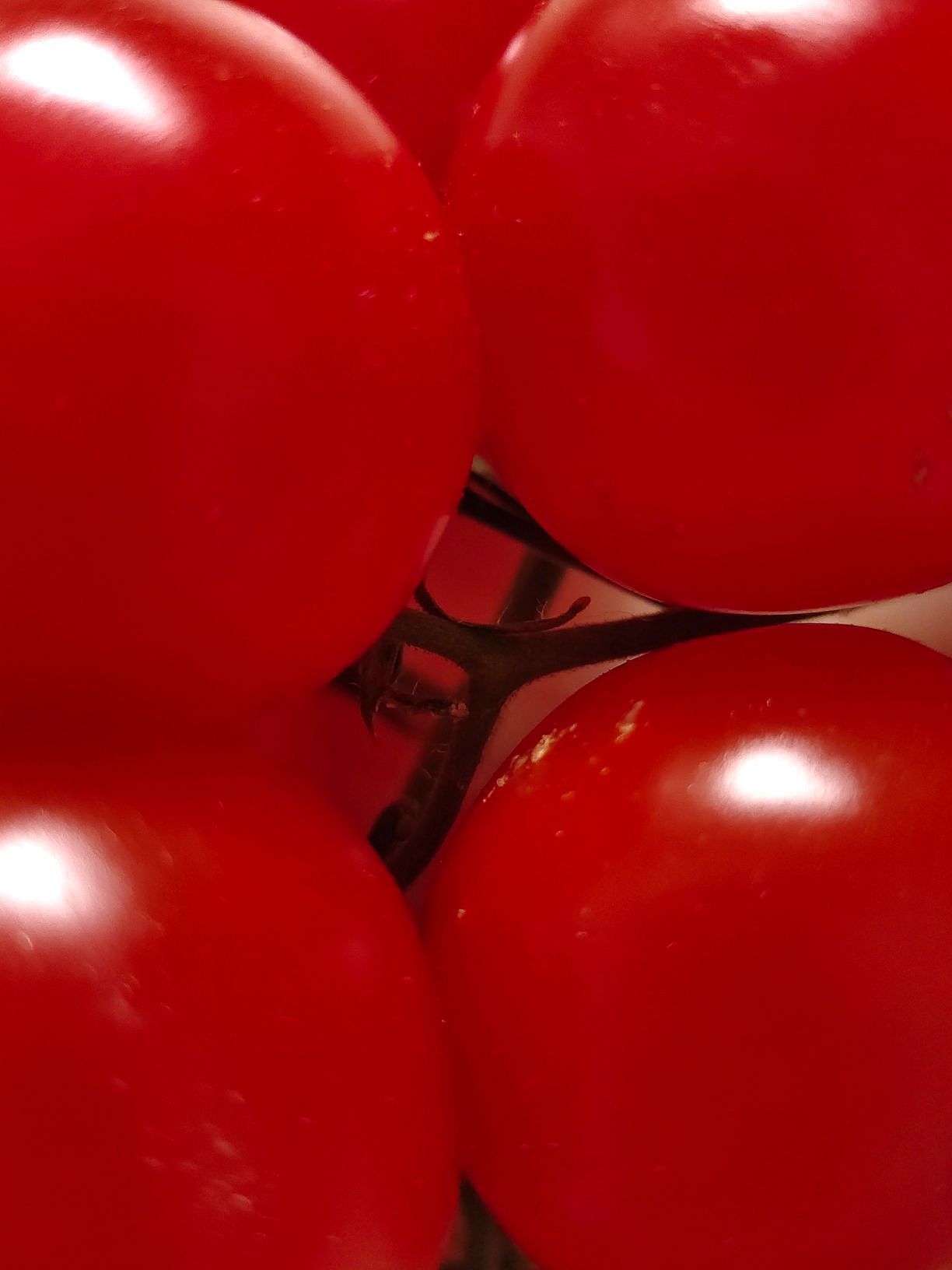 《番茄红了》-手机摄影