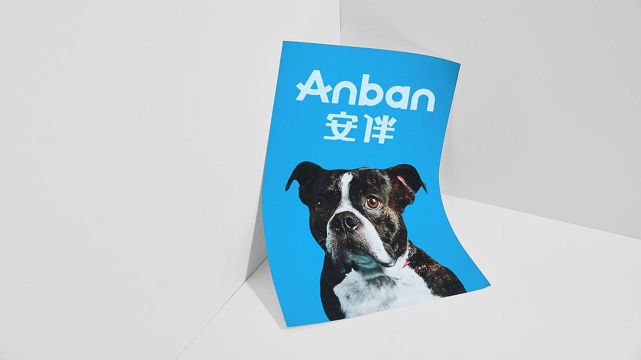 Anban宠物（图ZMjA3OTIzMjI0） - 品牌 - 站酷设计师小TAN原创素材 - 站酷ZCOOL