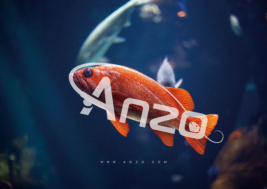渔具品牌logo设计|Anzo品牌形象设计(图ZODg2MTI3MTI=) - 品牌 - 站酷设计师东德品牌设计原创素材 - 站酷ZCOOL