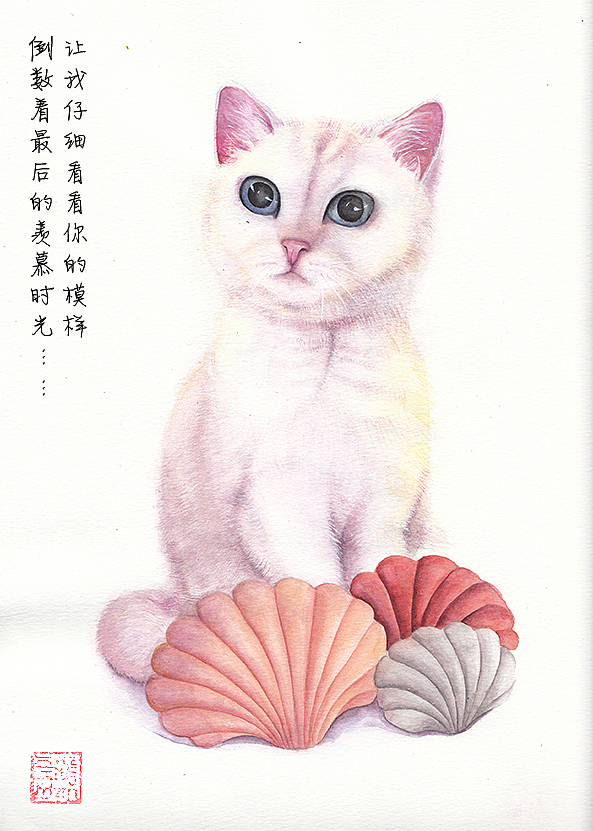 2020喵喵星人