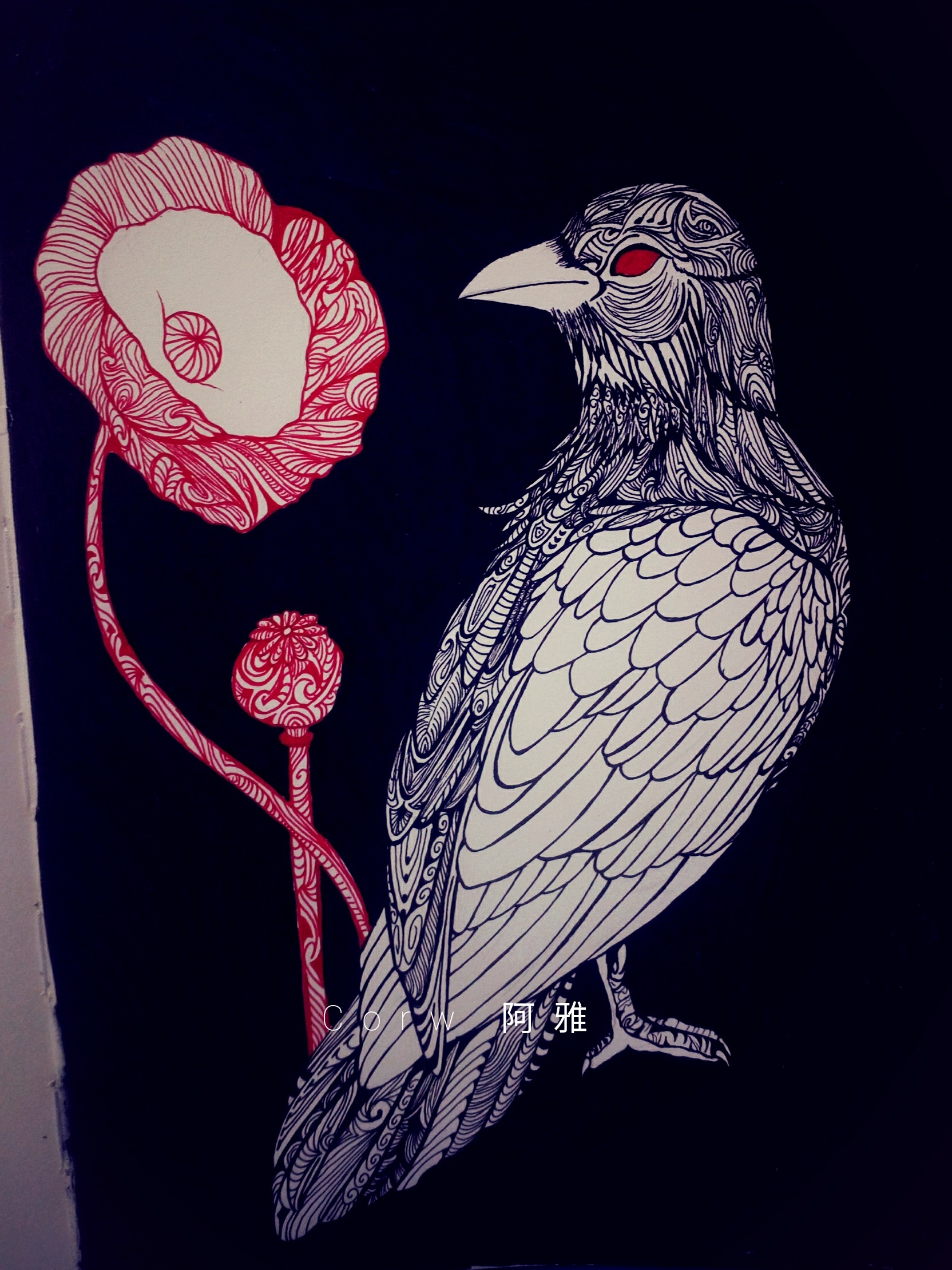 乌鸦和花|插画|插画习作|阿雅姑娘 - 原创作品 - 站酷 (zcool)