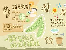 自然教育科普牌