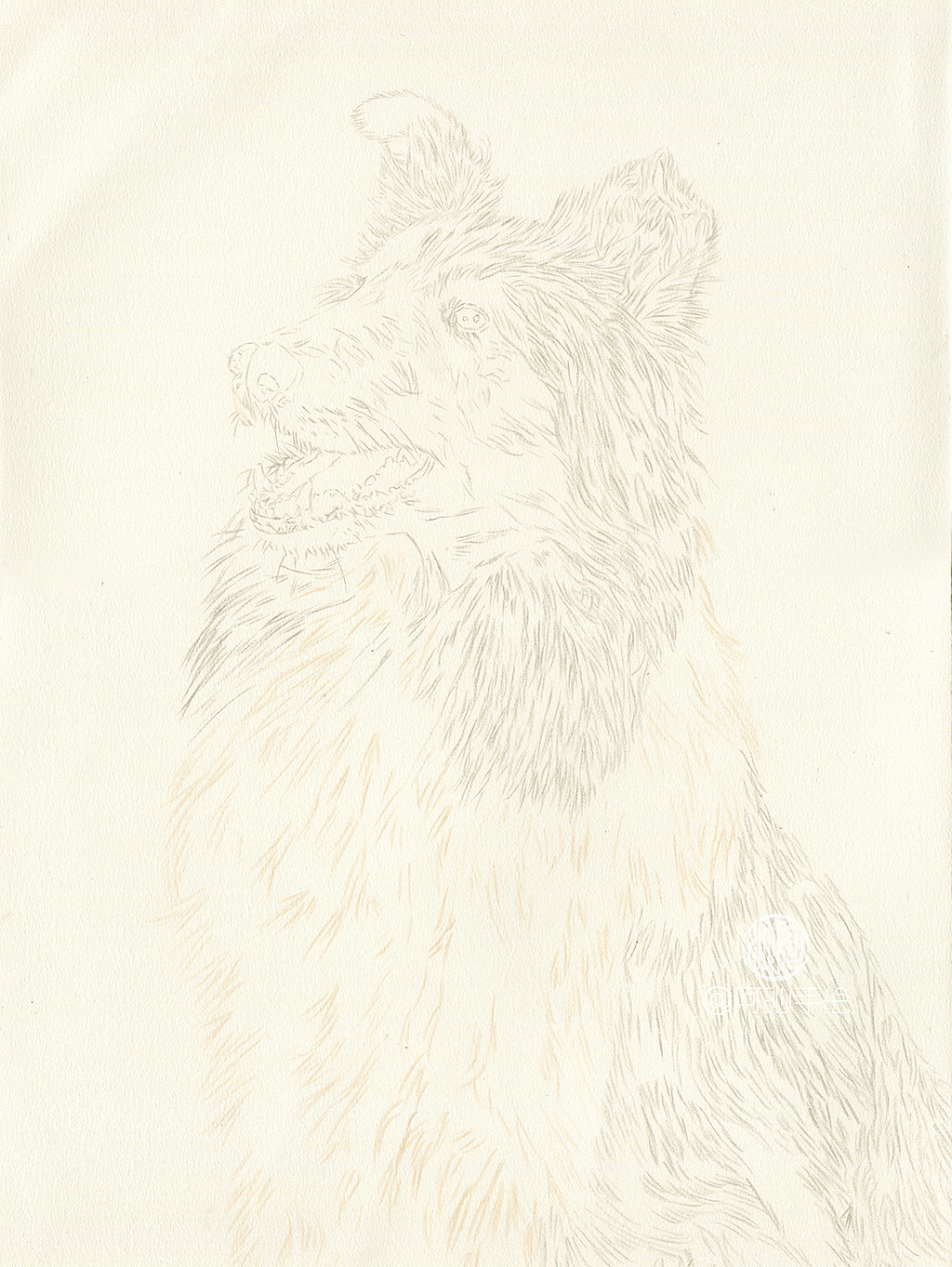 彩铅画喜乐蒂牧羊犬-阿沁作品（图ZMTEzMzUwNTA0） - 绘画 - 站酷设计师煜芮原创素材 - 站酷ZCOOL