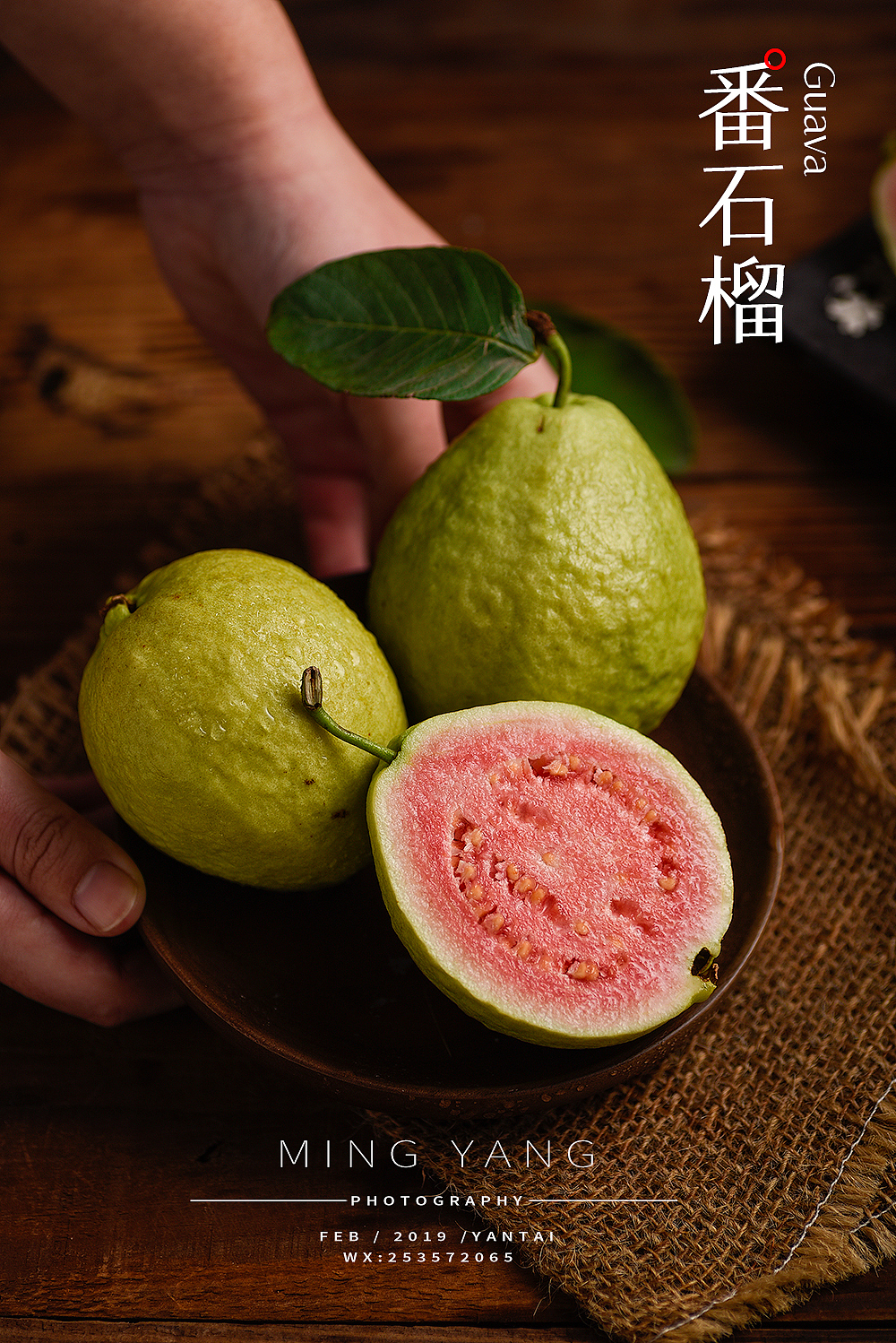 番石榴红芭乐拍摄