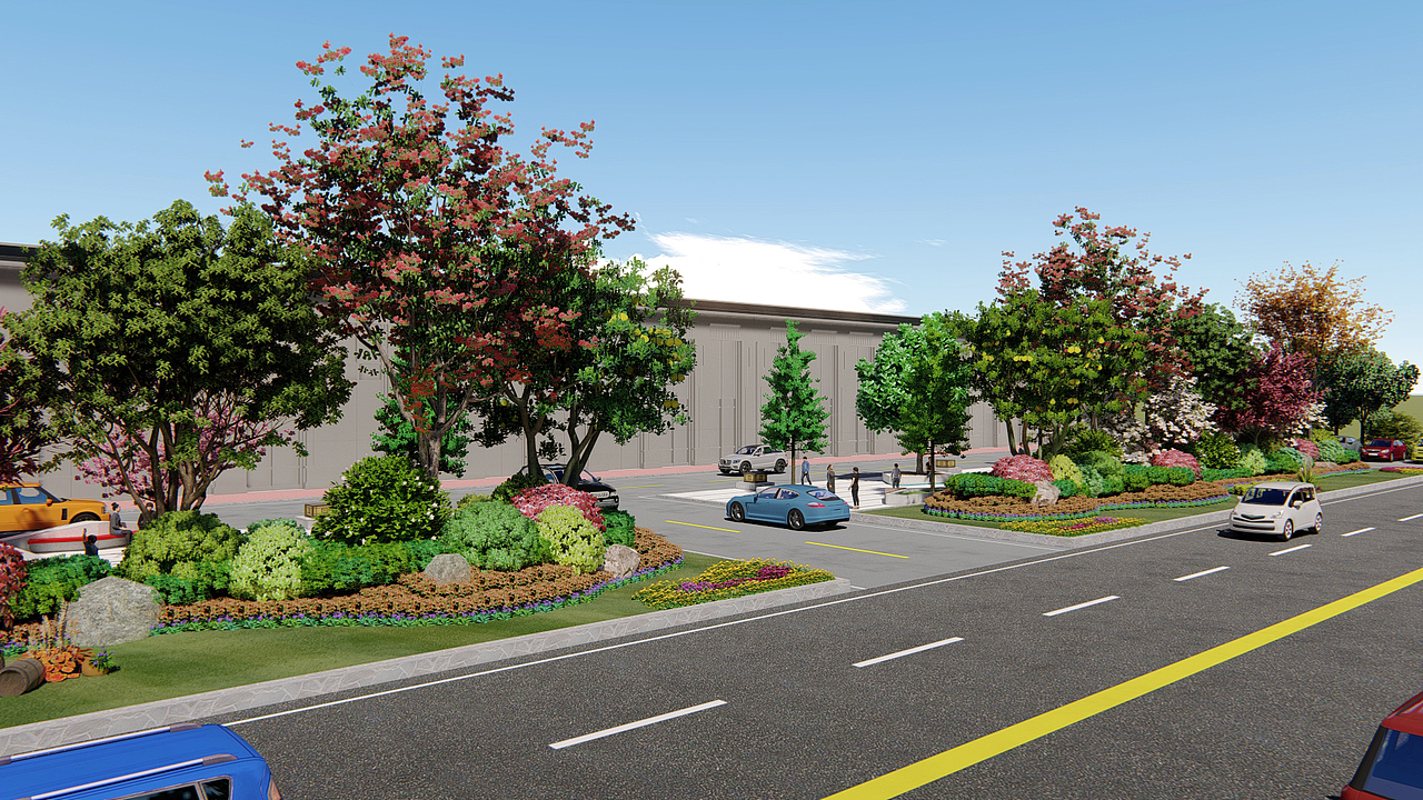 花卉市场广场改造