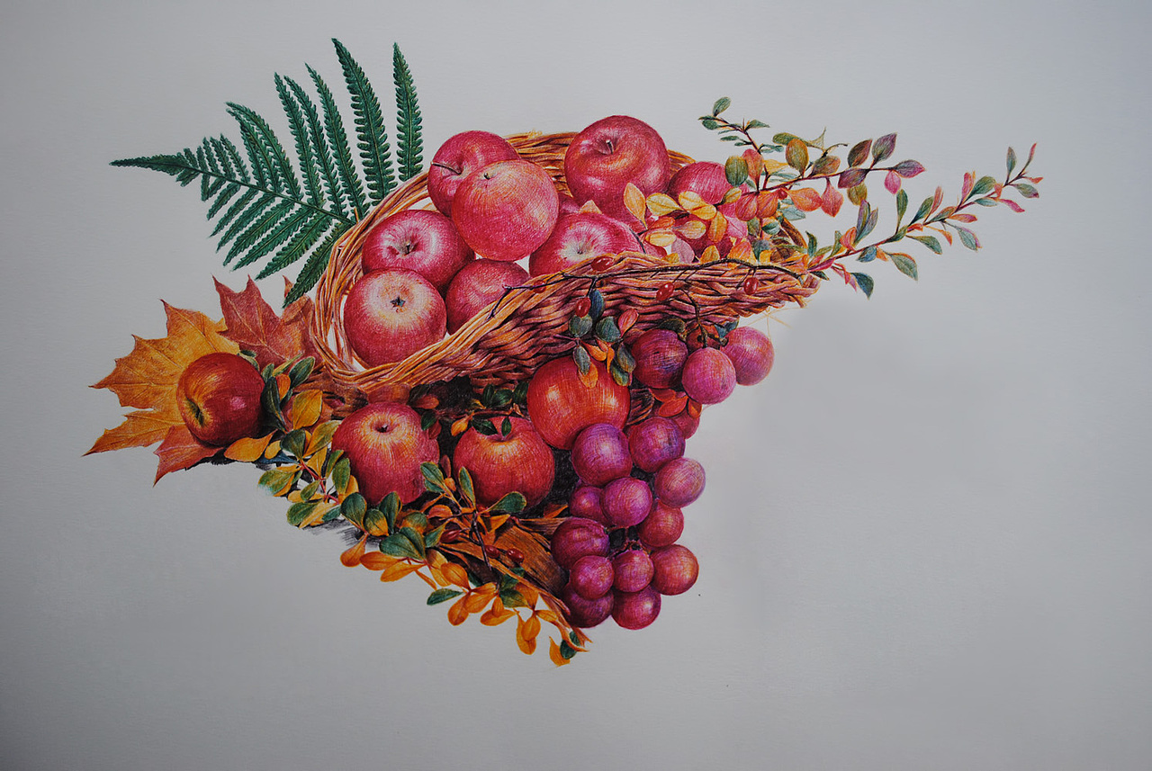 OY彩色圆珠笔画60小时作品