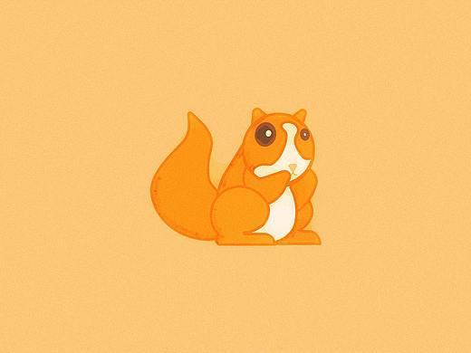squirrel 107