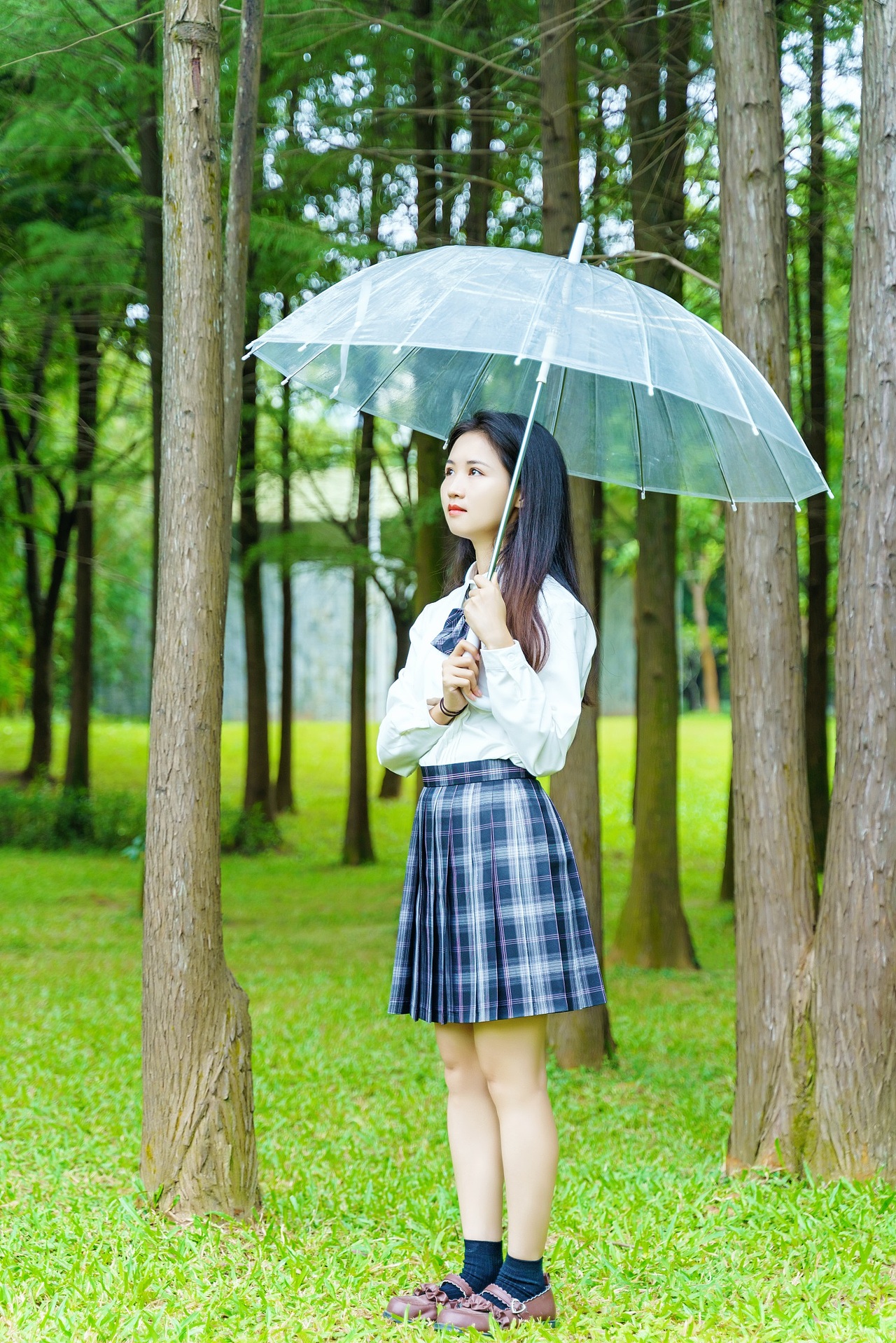 秋天来深圳中心公园拍一组jk少女写真