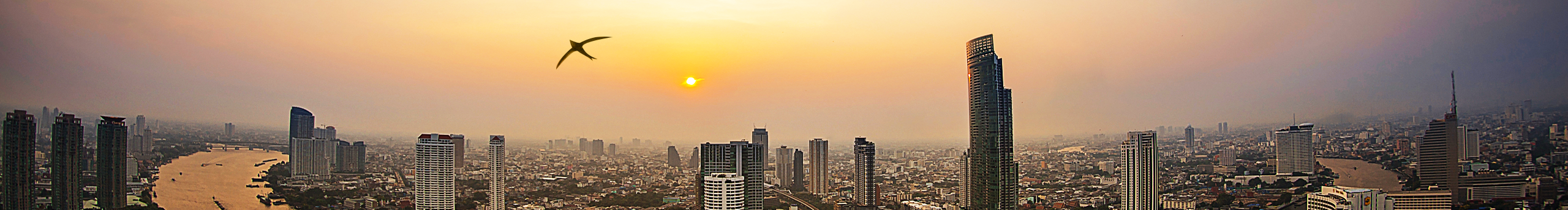 凌空剪影的個人主頁（封面預(yù)覽） - 主頁封面設(shè)置 - 站酷設(shè)計師凌空剪影原創(chuàng)素材 - 站酷ZCOOL