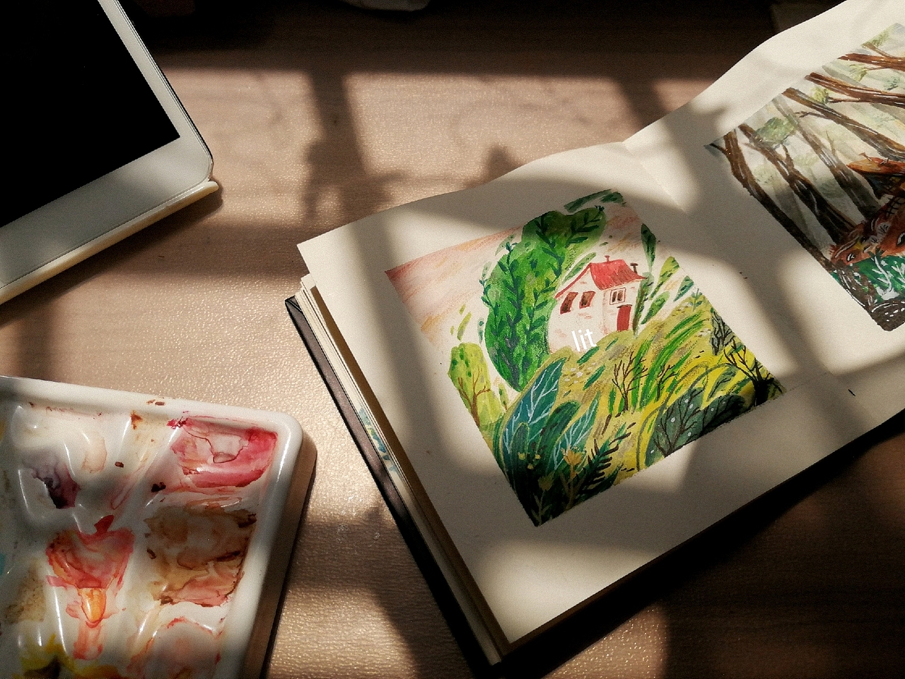 房子|追逐不一样的阳光