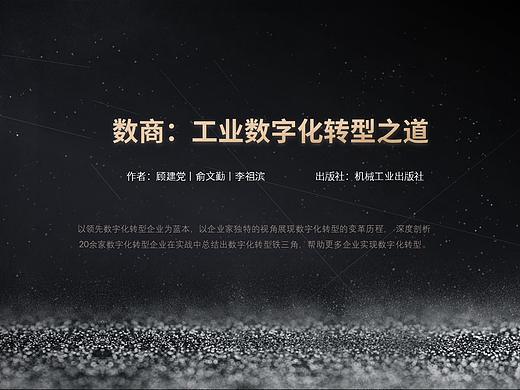 PPT深度剖析《数商》,深究中国现状下的工业数字化转型