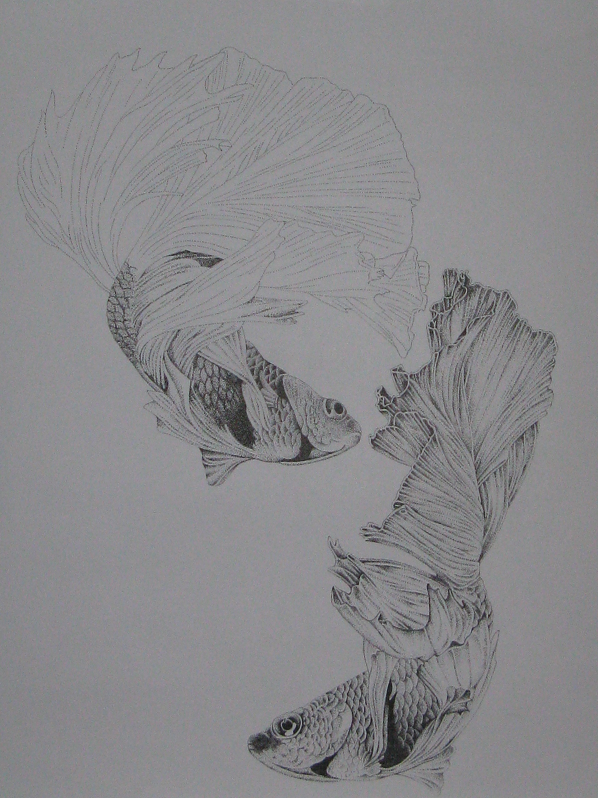 楚歌钢笔画-双鱼(点画)55*40cm