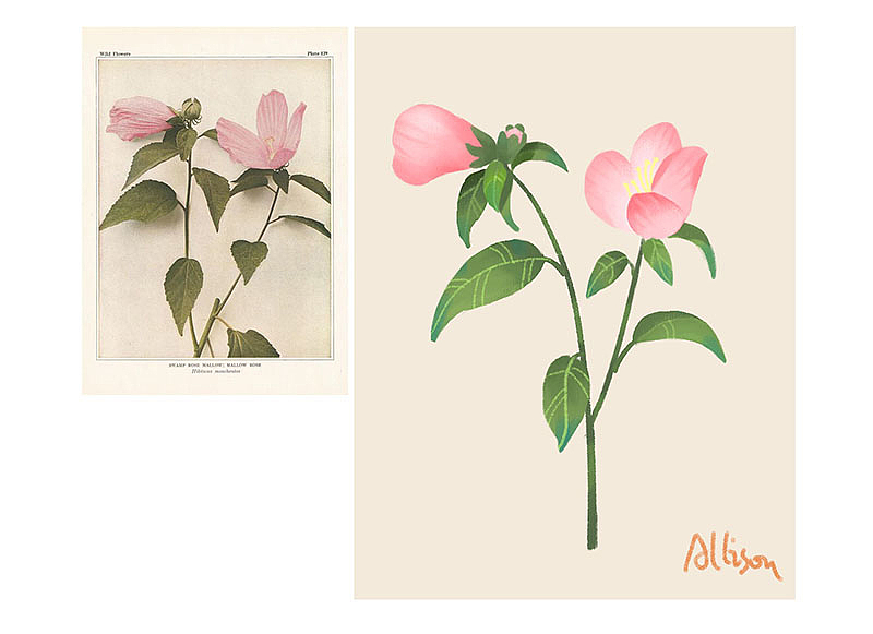 仿实物插画（图ZMjQ5NjkxODU2） - 艺术插画 - 站酷设计师Allison58原创素材 - 站酷ZCOOL