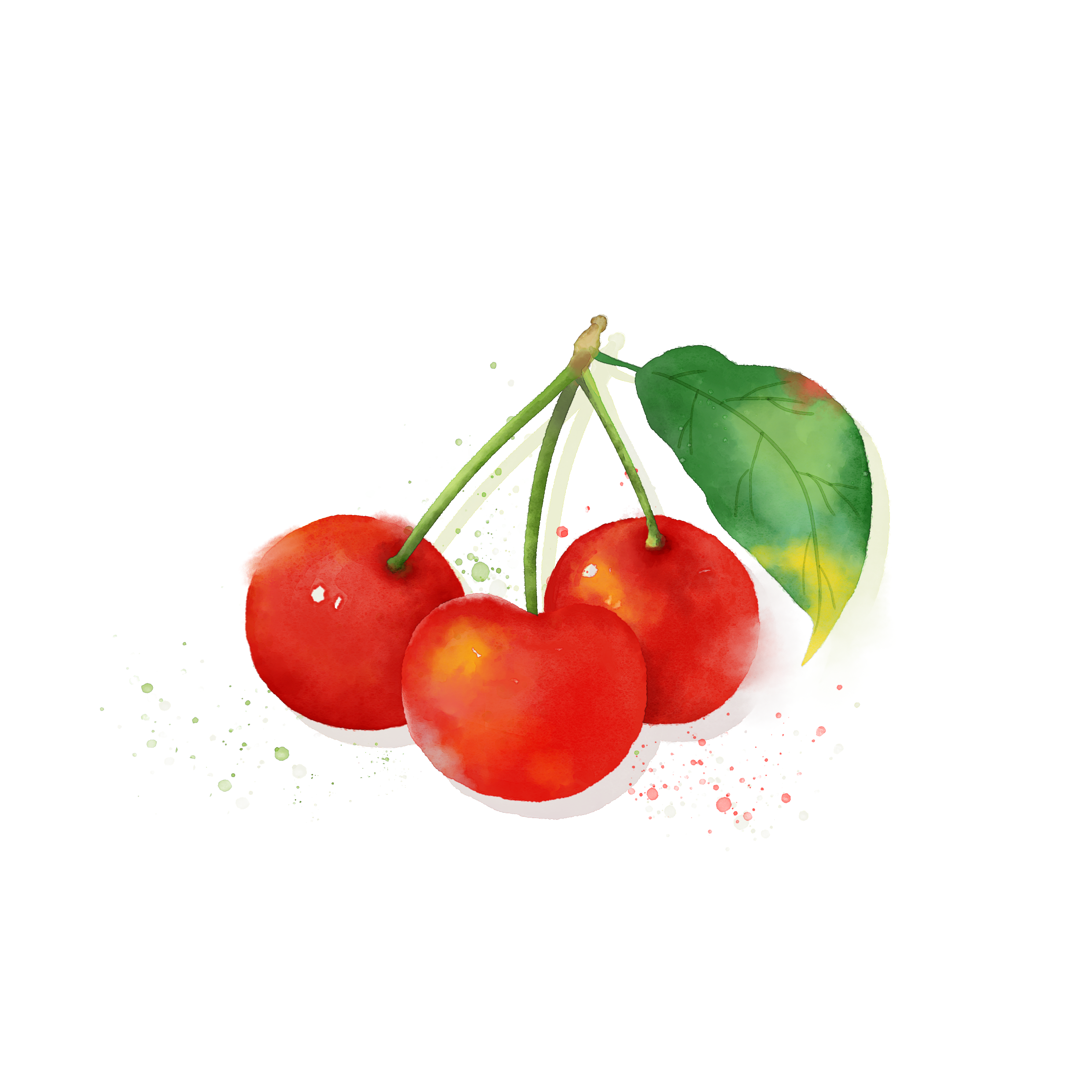 板绘水彩插画(临摹)