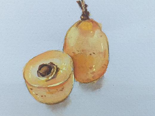 2020手繪 水彩 花卉 花果（個(gè)人主頁-ZMTI2MjI4OA==） - 純藝術(shù) - 站酷設(shè)計(jì)師三勝sansheng原創(chuàng)素材 - 站酷ZCOOL