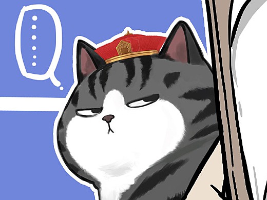 《 猫 咪 的 新 装 》——当铲屎官给猫咪设计新衣服…