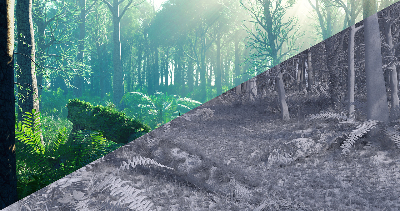 C4D 写实森林OC渲染(图ZMTIxNTczMTg4) - 场景 - 站酷设计师Rucker_点原视觉原创素材 - 站酷ZCOOL