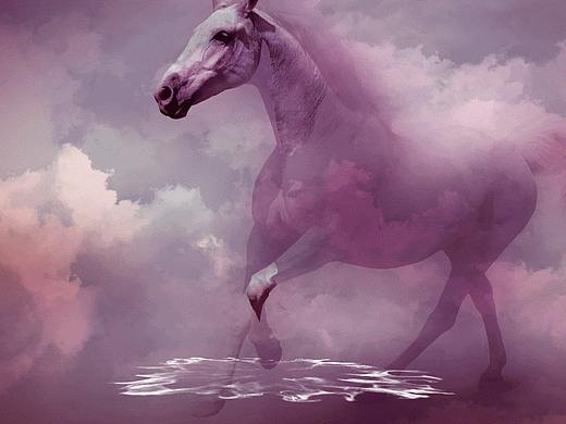 秦韵风尚（个人主页-ZMzIwNTI5NDg=） - 动效设计 - 站酷设计师墨眉_YANG原创素材 - 站酷ZCOOL