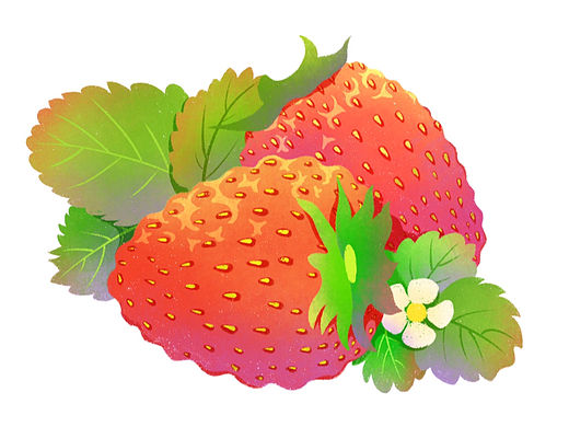 扁平风插画|草莓单体