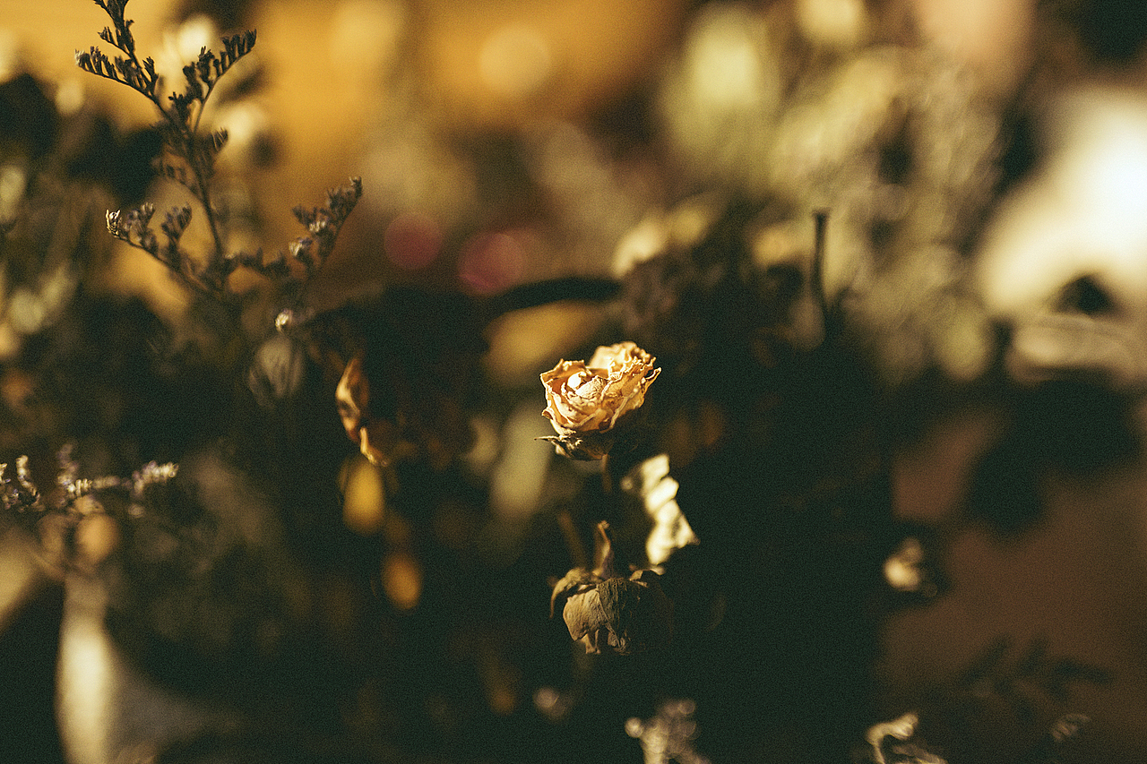 You're always such a fool