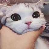 宵迹的头像