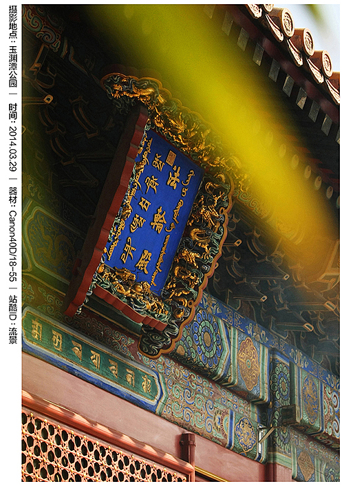 40里路去看樱。（图ZMTUxMDYwOTI=） - 风光摄影 - 站酷设计师流景原创素材 - 站酷ZCOOL