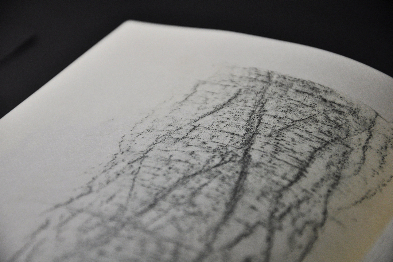 自然的痕迹 —— 迟来的毕业设计