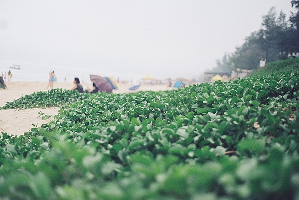 小夕の胶片生活【6】