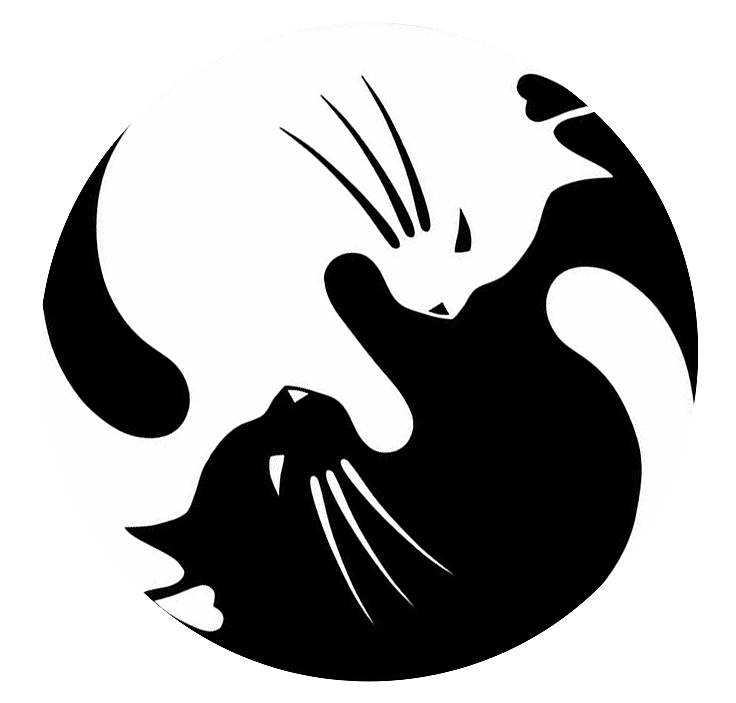 阴阳猫