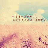Andy浩的头像