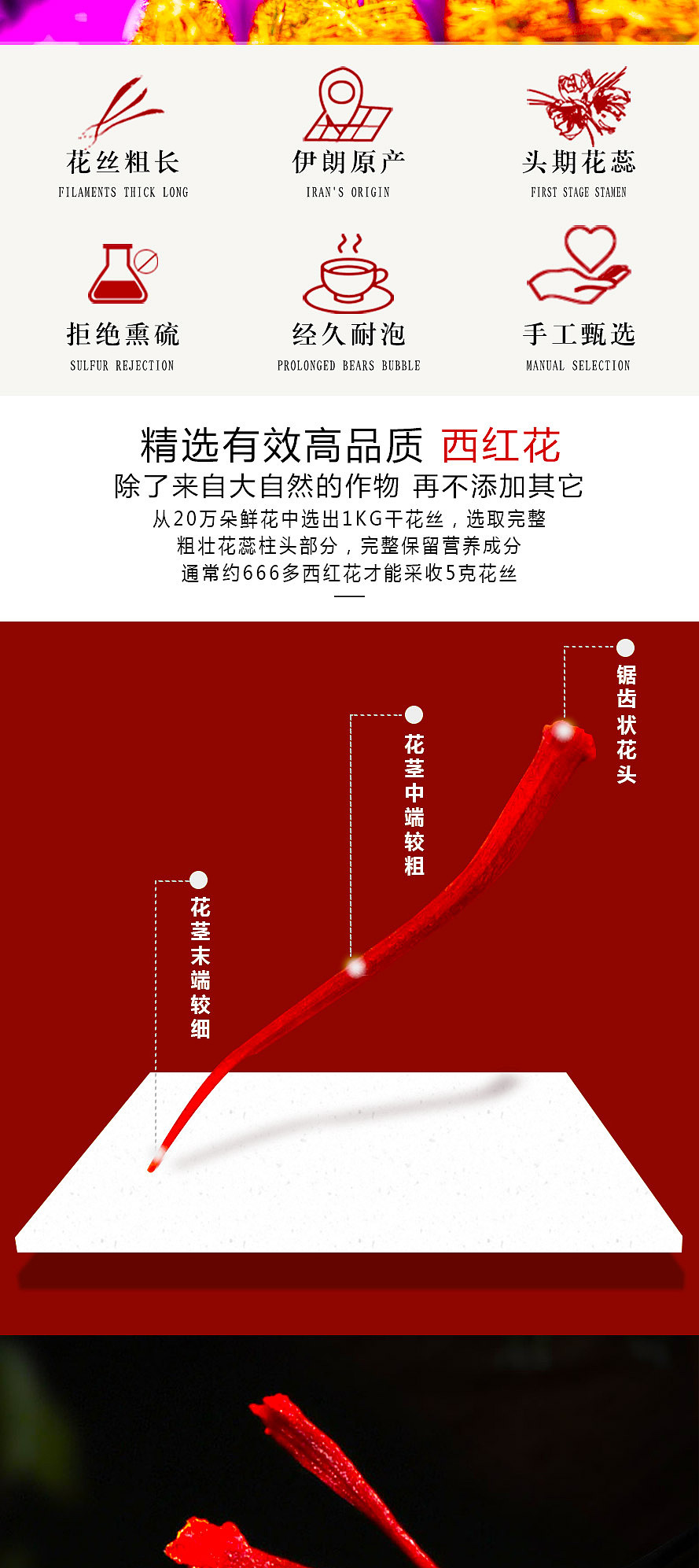 进口西红花详情页