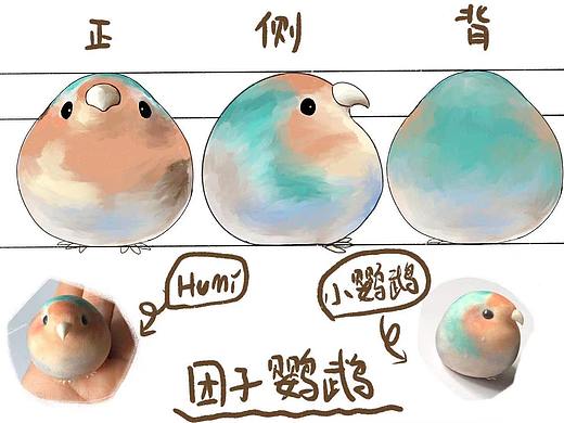 小鹦鹉HUMI