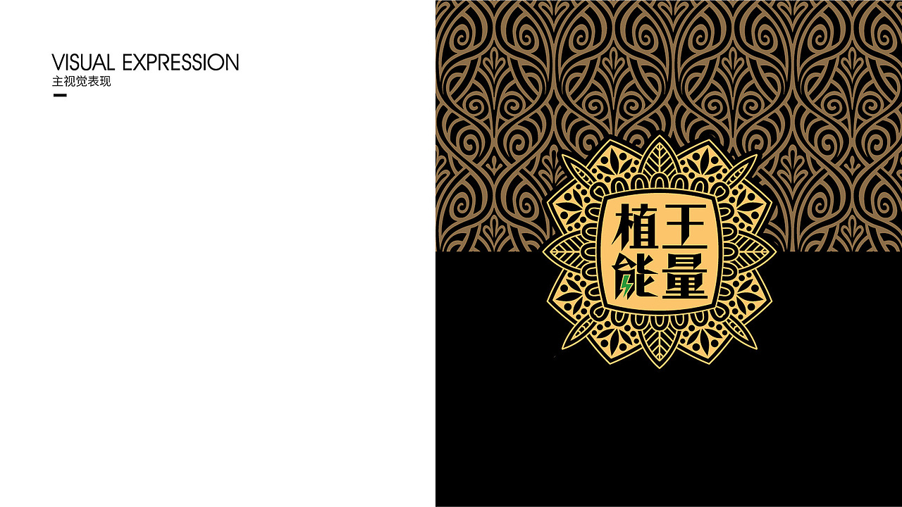 植王 饮料包装设计